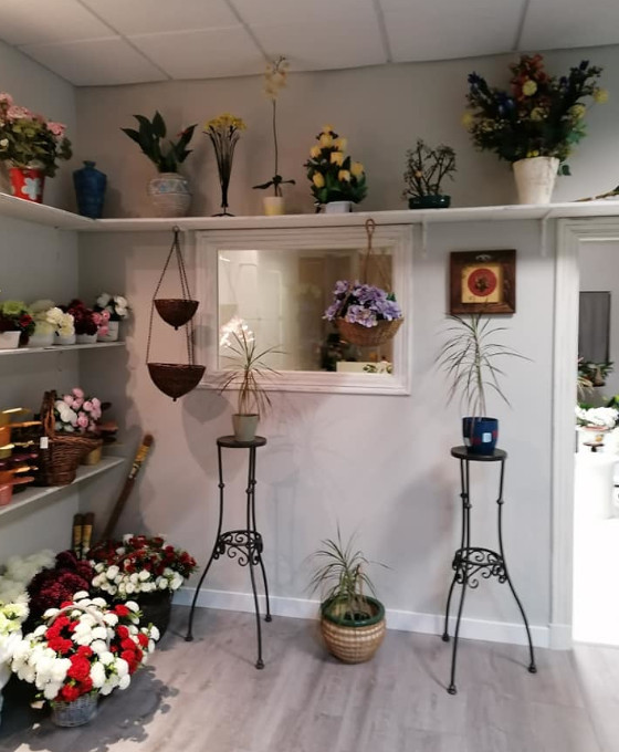 Floristería María Luisa en Posada de Llanes Asturias